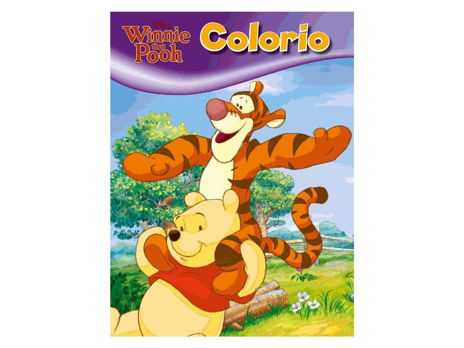 Boek Specials Nederland BV - Winnie the Pooh Colorio Coloring Book