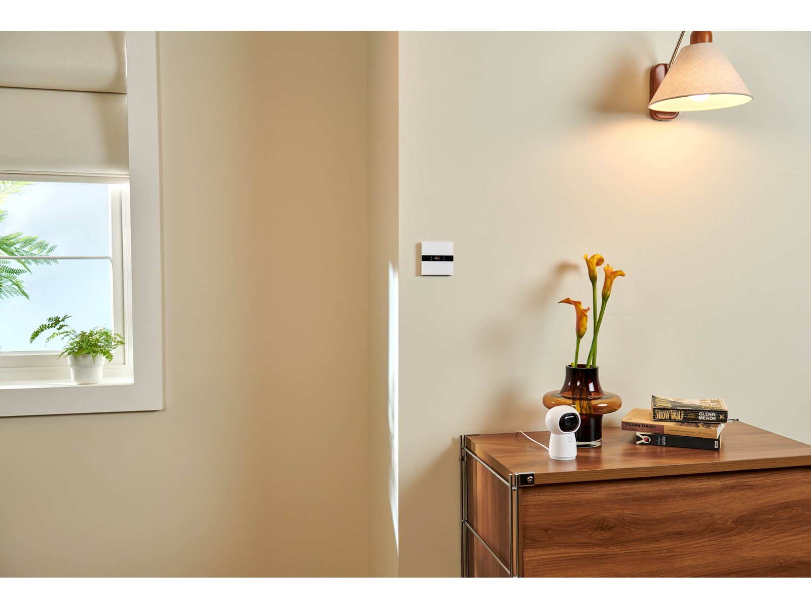 Aqara Display Switch V1