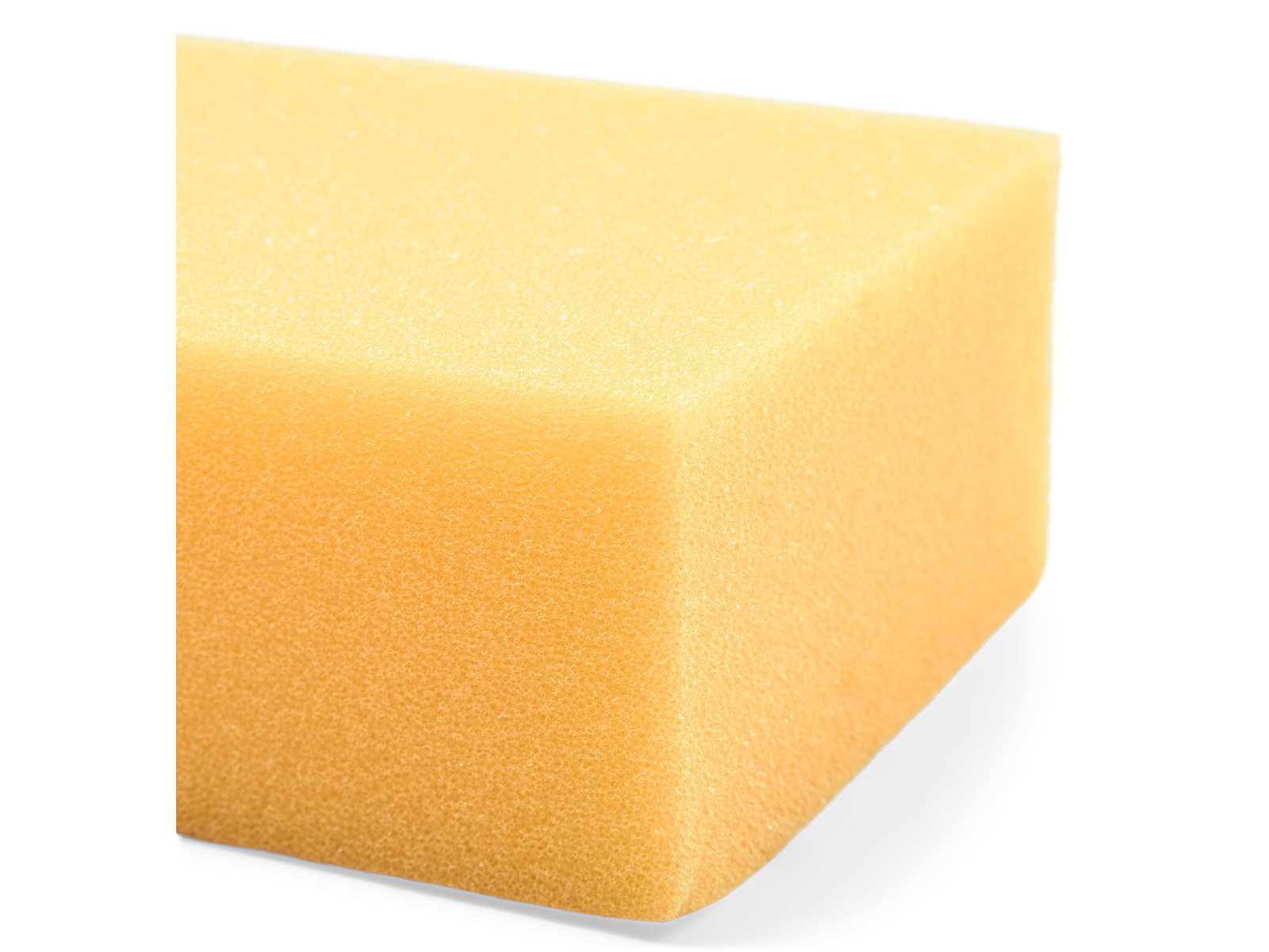 F-Line Foam sponge - universal sponge