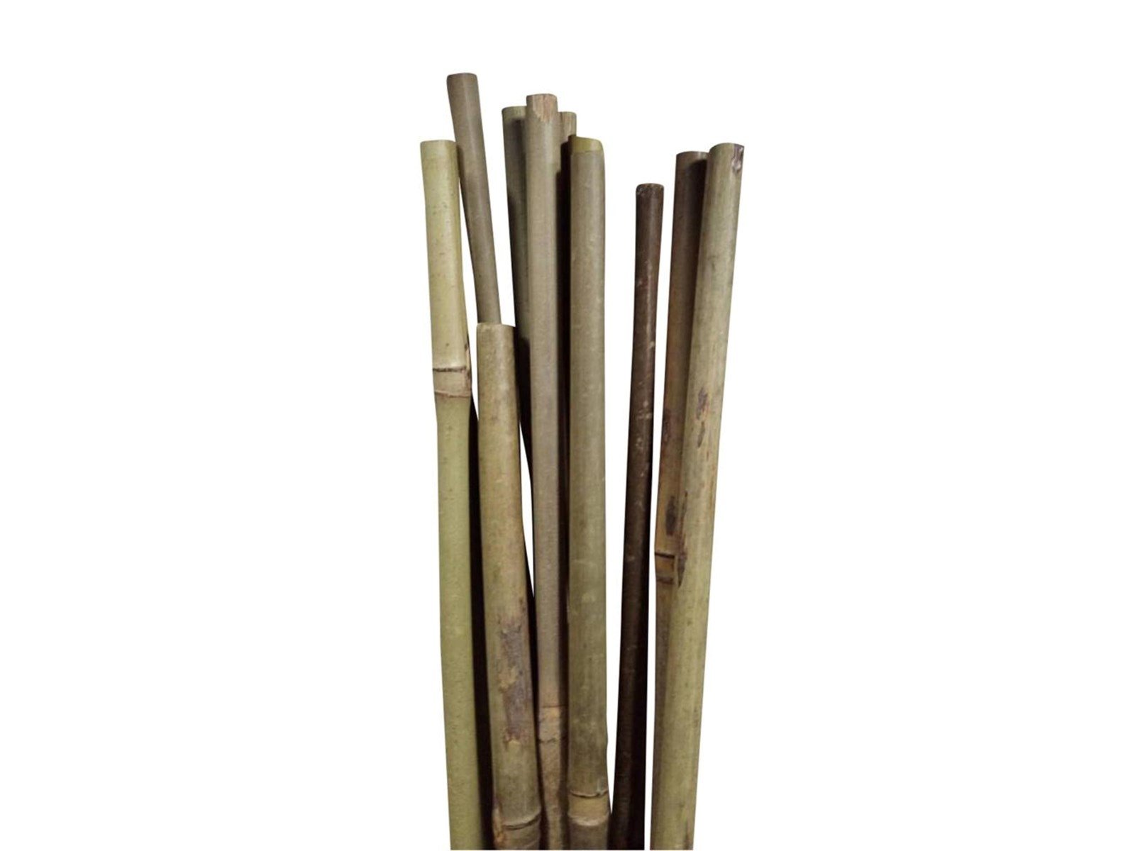 Homeit Bamboo Sticks – Natural Strength for Your Projects - Ø10 mm x 60 cm 4 units.
