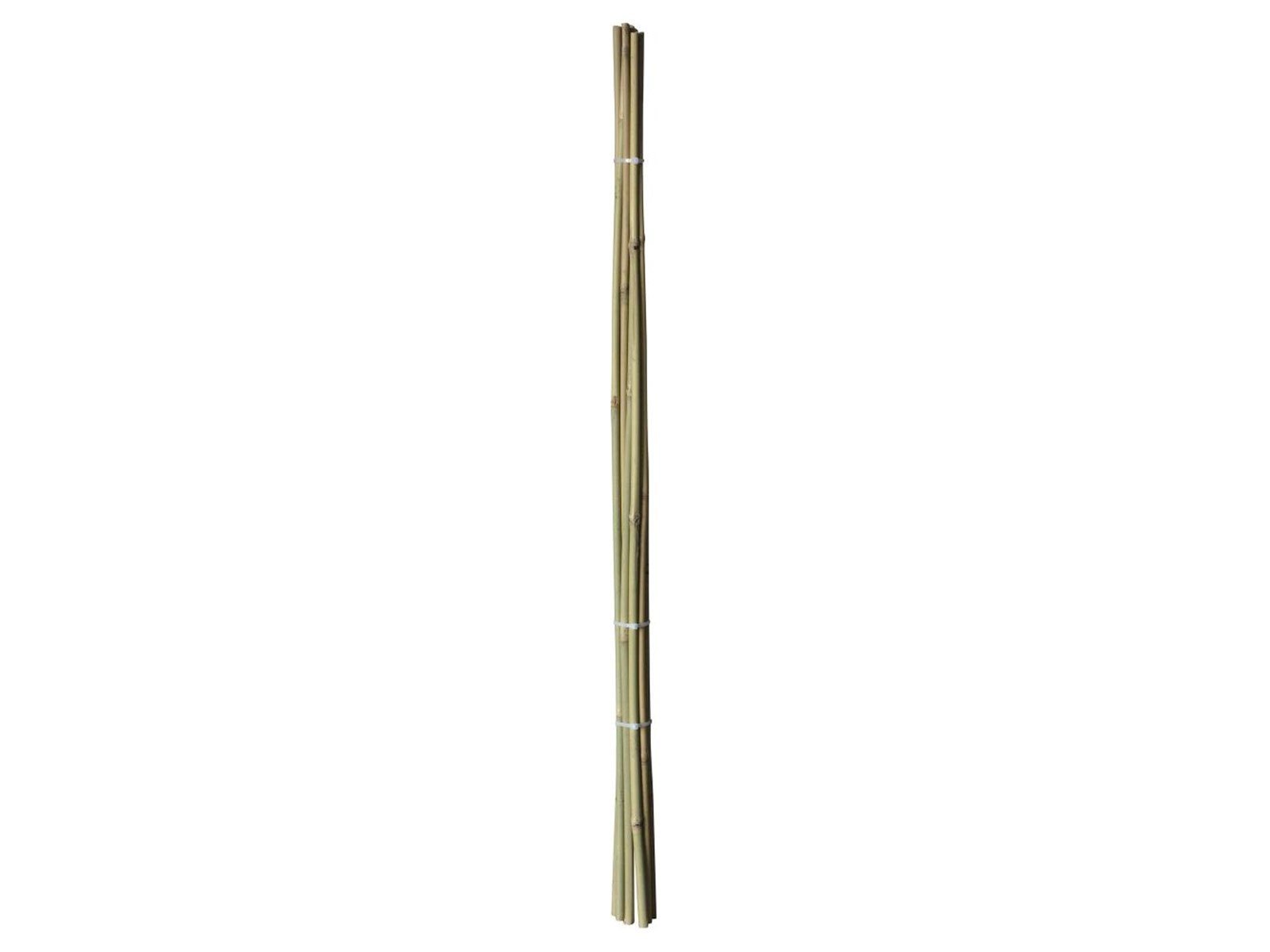 Homeit Bamboo Sticks – Natural Strength for Your Projects - Ø10 mm x 60 cm 4 units.