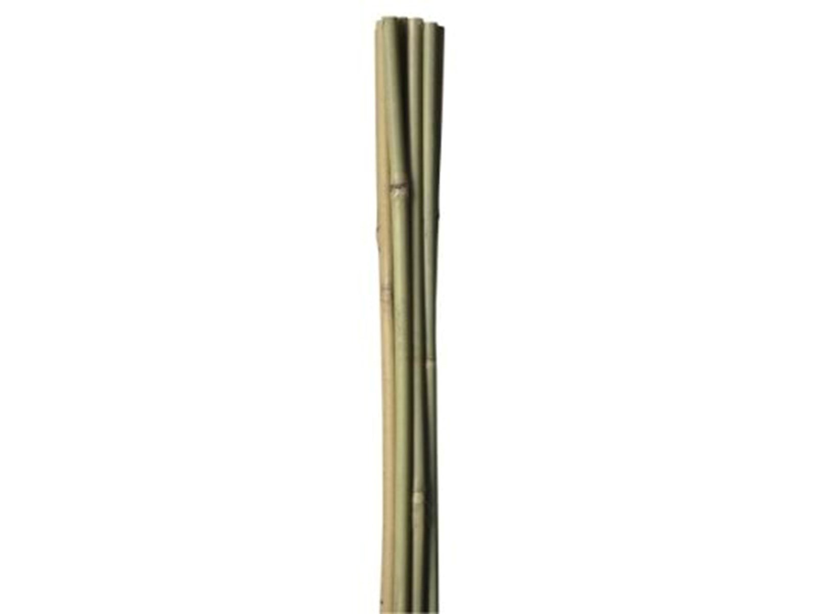 Homeit Bamboo Sticks – Natural Strength for Your Projects - Ø10 mm x 60 cm 4 units.