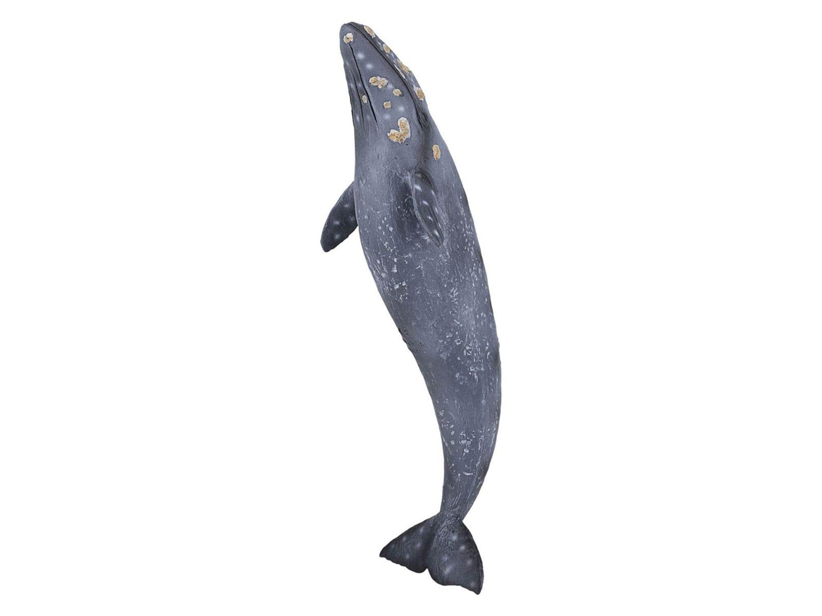 Mojo Sealife - Gray Whale