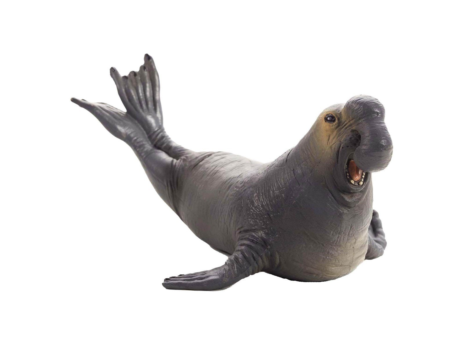 Mojo Sealife - Elephant Seal