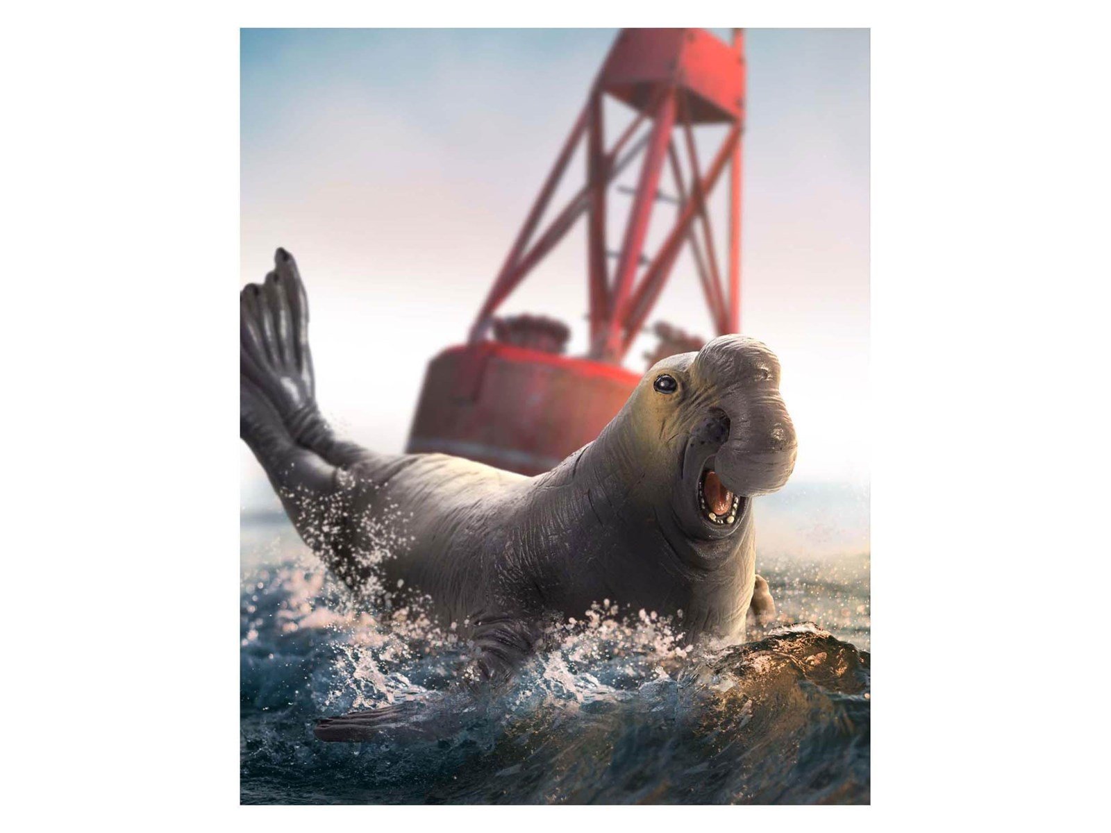 Mojo Sealife - Elephant Seal