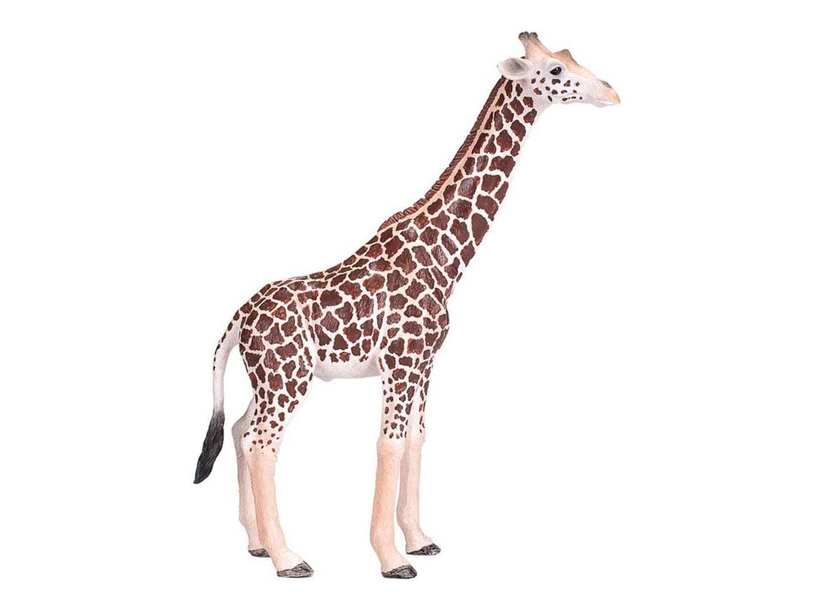 Mojo Wildlife Wild Animal Safari Playset 6pcs - 380026