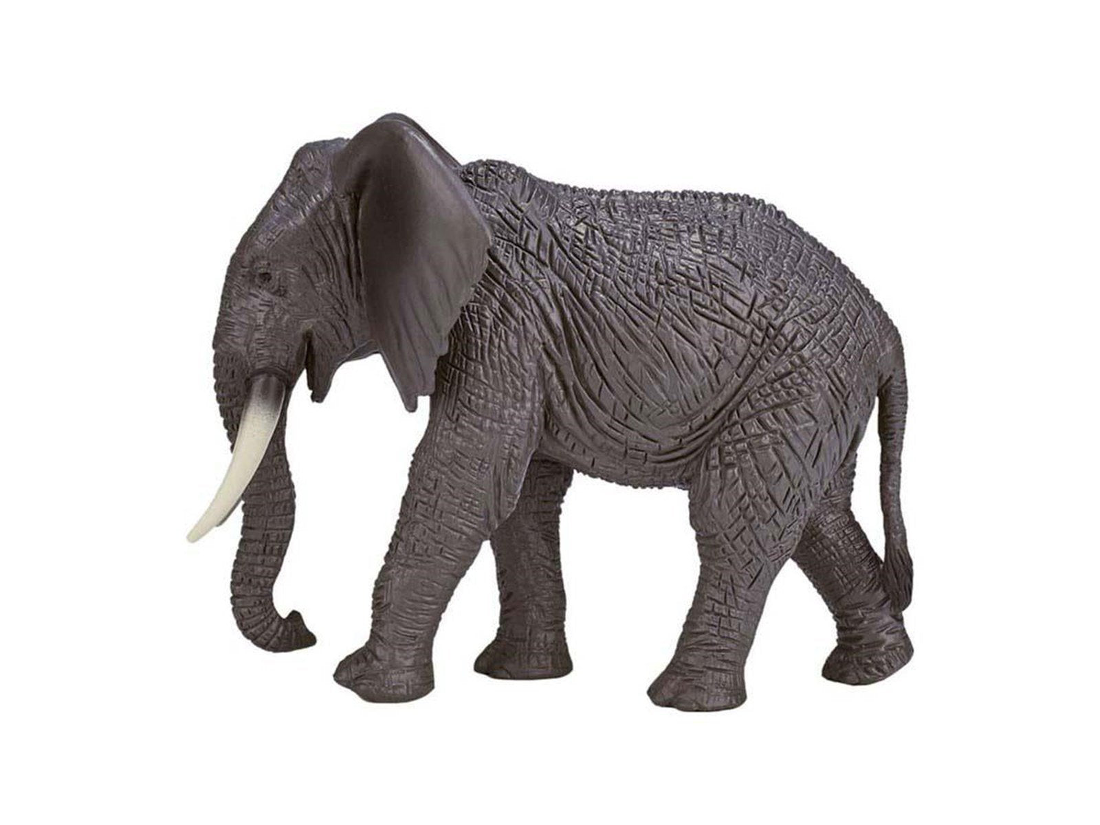 Mojo Wildlife Wild Animal Safari Playset 6pcs - 380026
