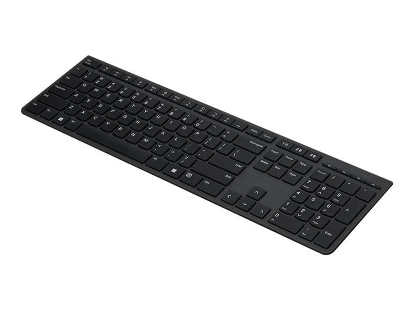Lenovo Professional - keyboard - US English - grey Input Device - Tastaturen - US-Englisch - Grau