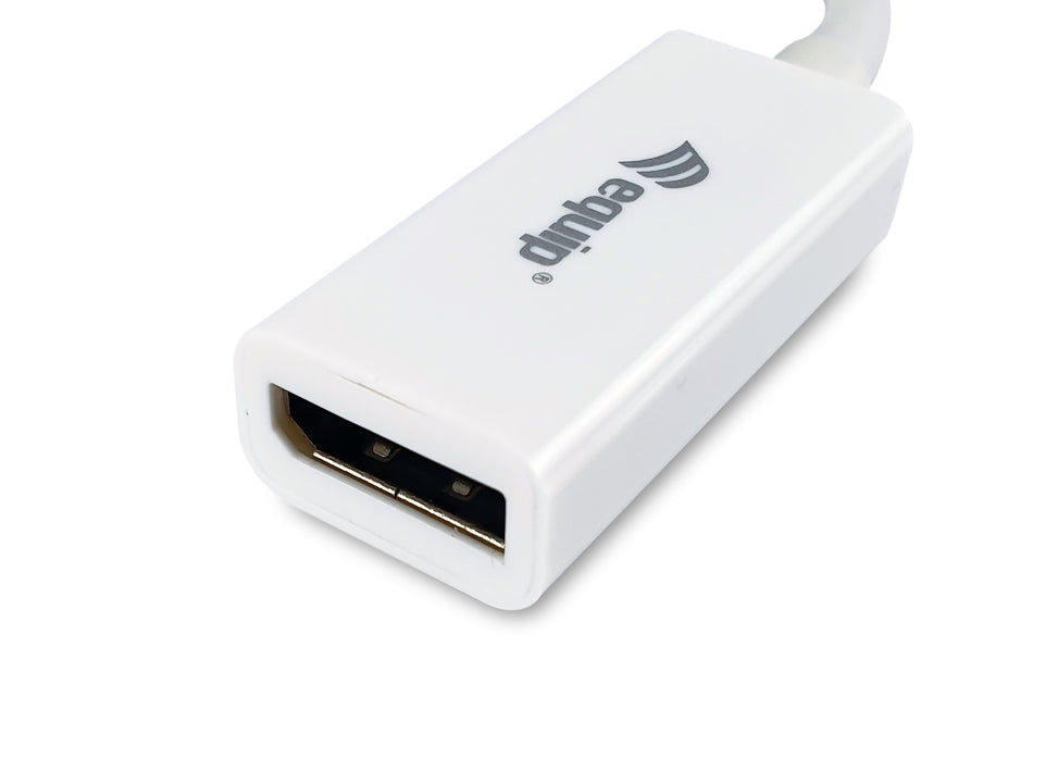 Equip Mini DisplayPort->DisplayPort Adapter St/Bu 4K/60Hz ws