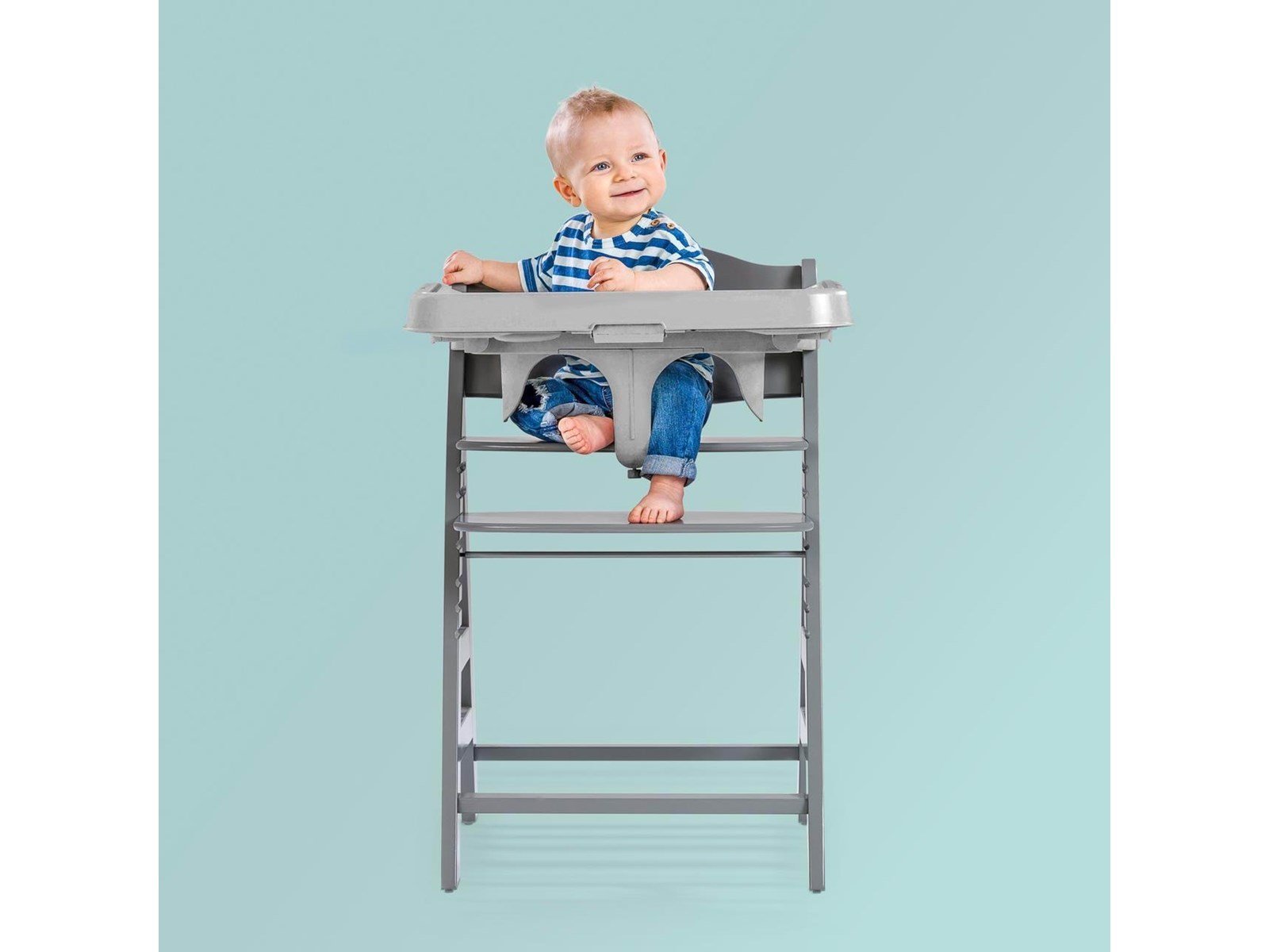 Hauck Alpha Tray