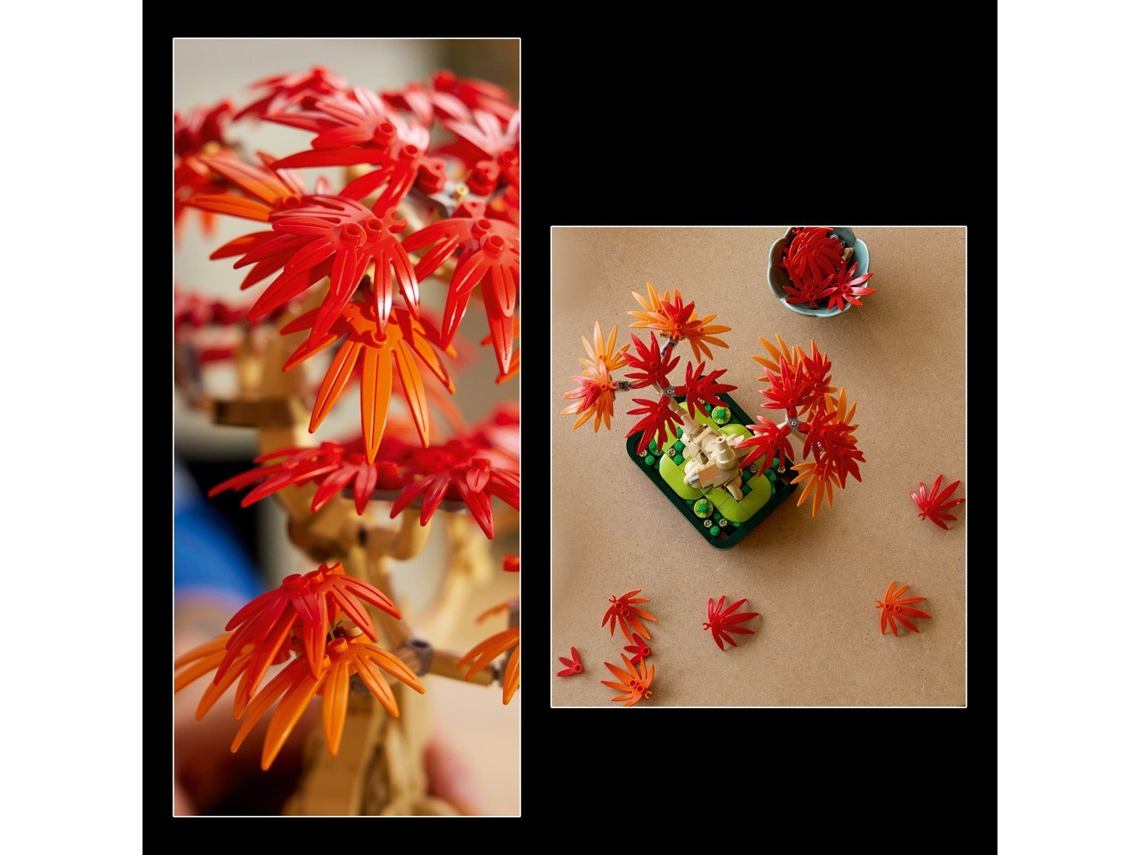LEGO Botanicals 10348 Japanischer Roter Ahorn – Bonsai-Baum