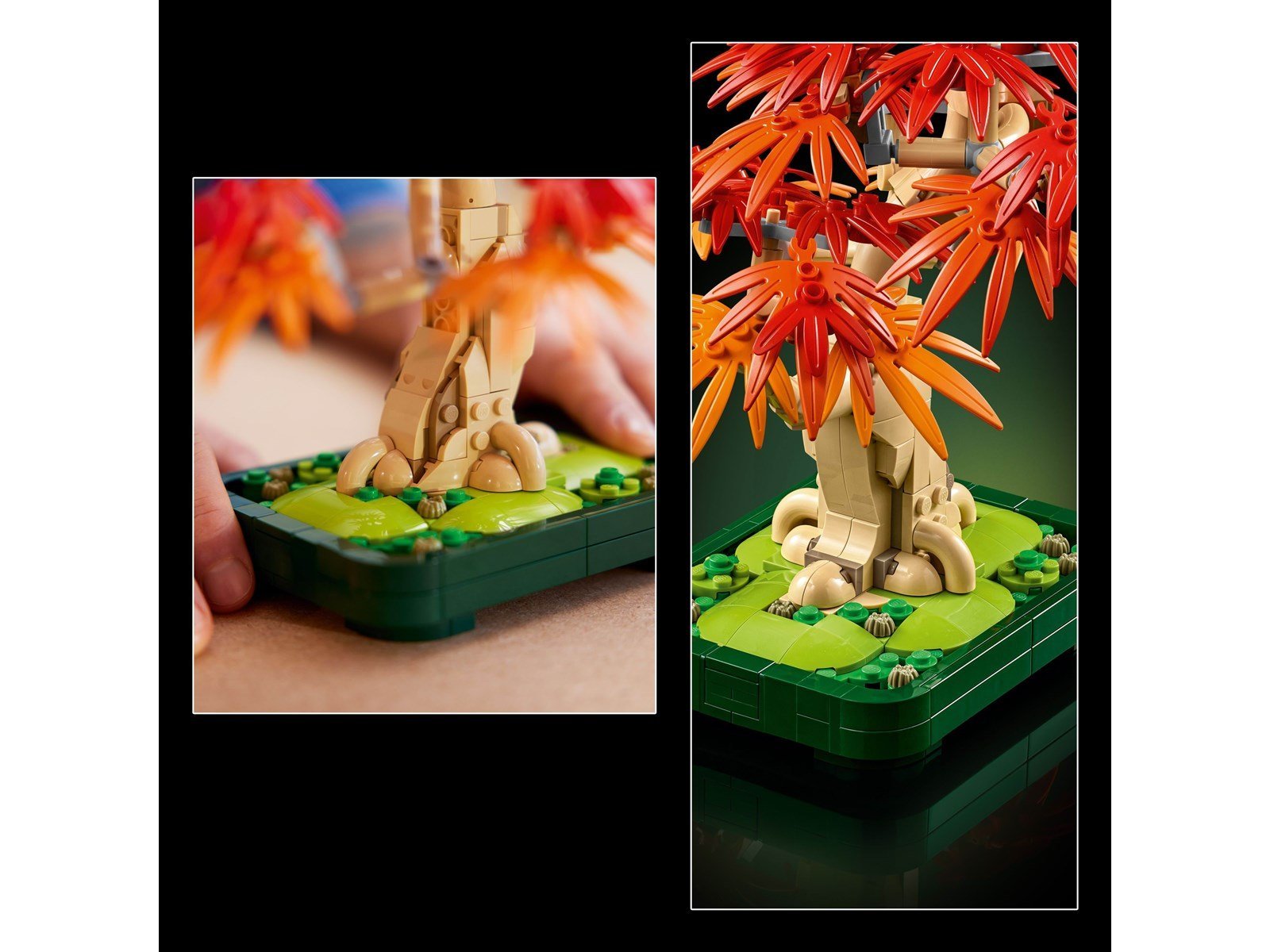 LEGO Botanicals 10348 Japanischer Roter Ahorn – Bonsai-Baum