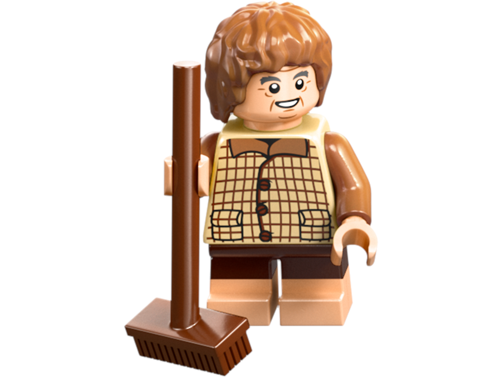 LEGO Icons 10354 Der Herr der Ringe: Das Auenland