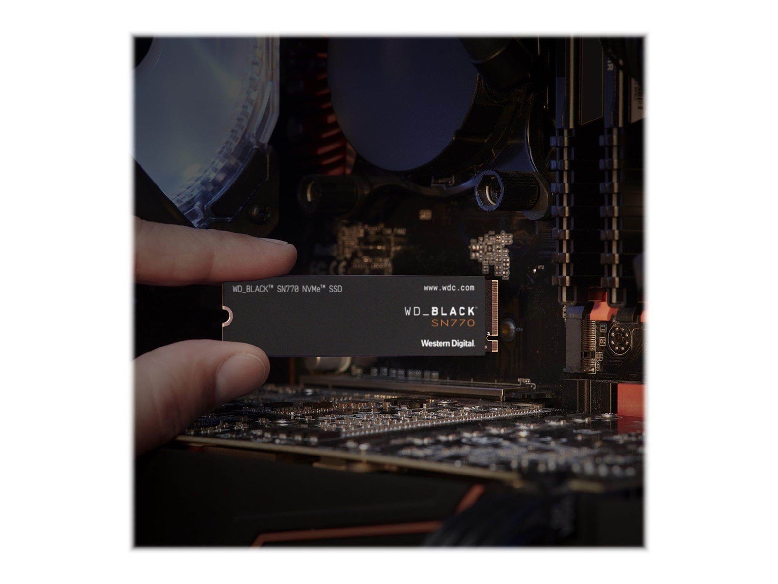 WD _BLACK SN770 BBDL0020BNC - SSD - 2 TB - PCIe 4.0 x4 (NVMe)