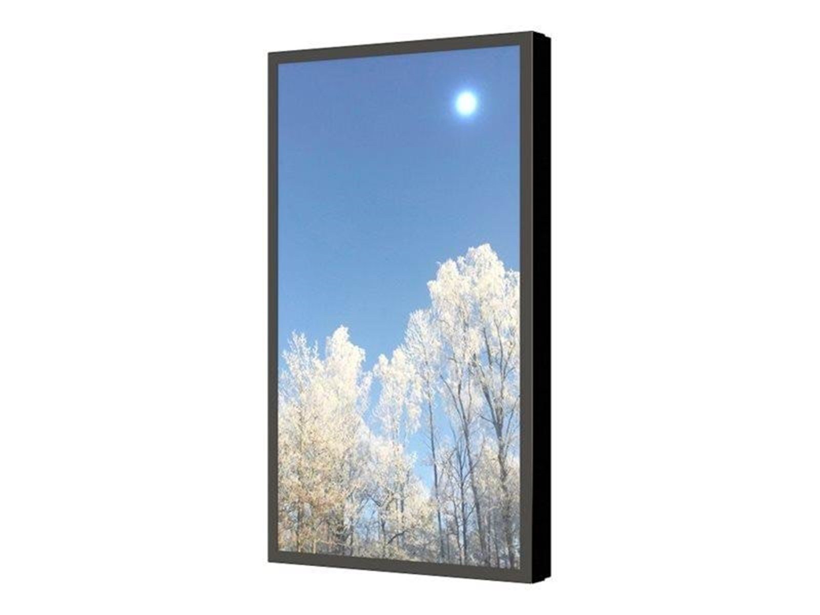 HI-ND PROTECT mounting kit - landscape - for LCD display - black 49