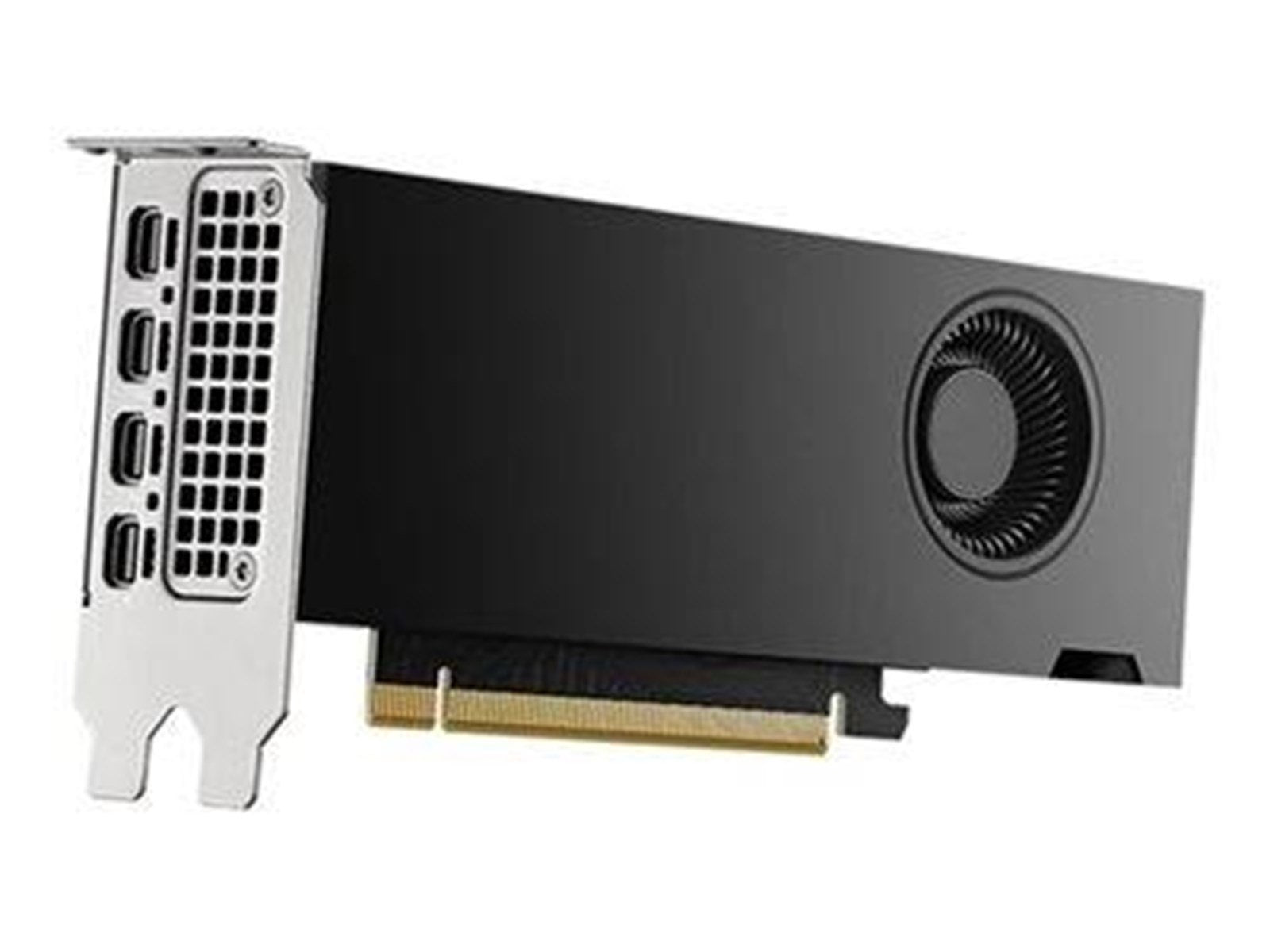 Dell RTX 2000 Ada - 16GB GDDR6 RAM - Grafikkarte