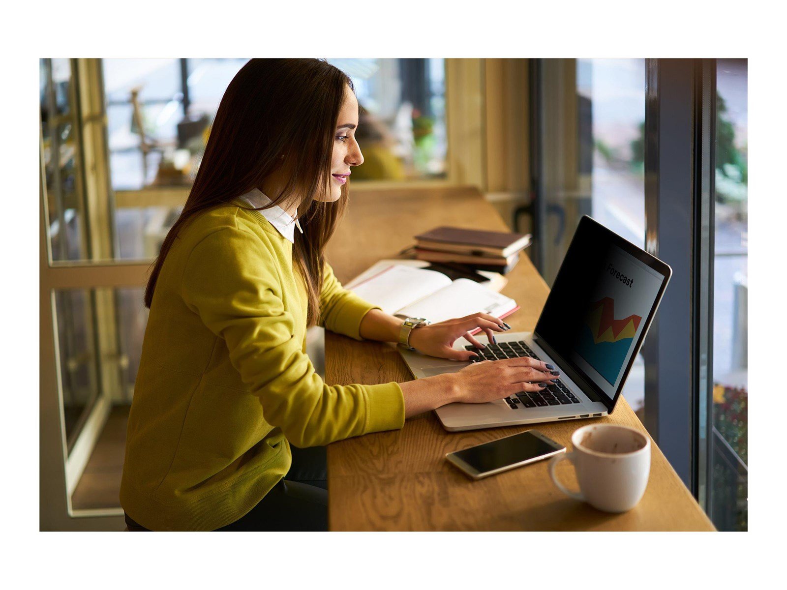 3M Bright Screen Privacy Filter - notebook privacy filter - bright screen 16:10