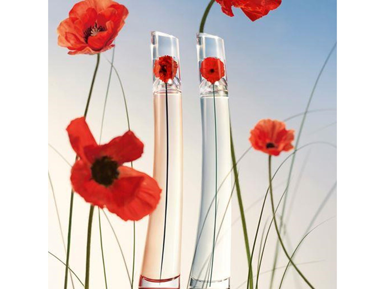 KENZO Flower By Kenzo L'Absolue Edp Spray