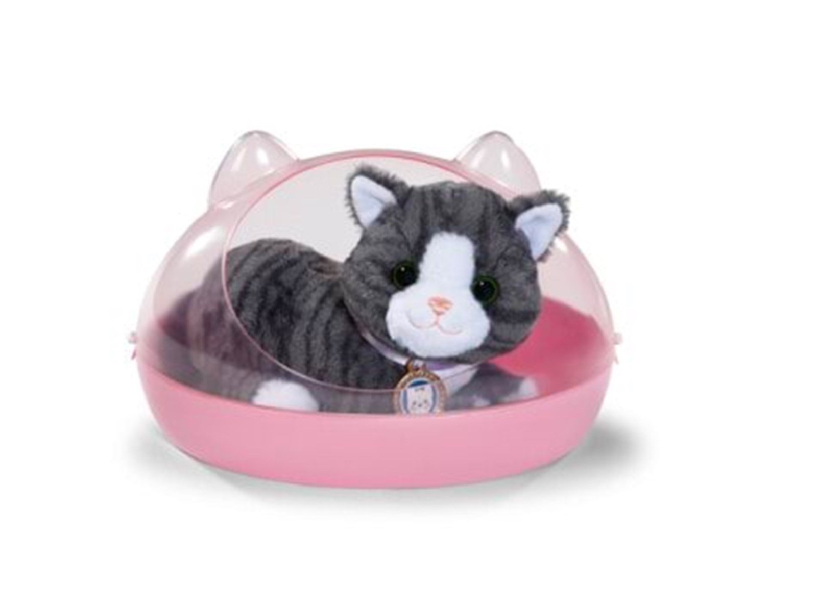 Baby Born My Cat Cookie with Box