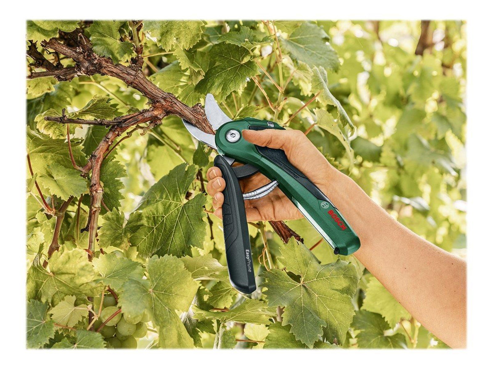 Bosch EasyPrune CORDLESS GARDEN SHEARS