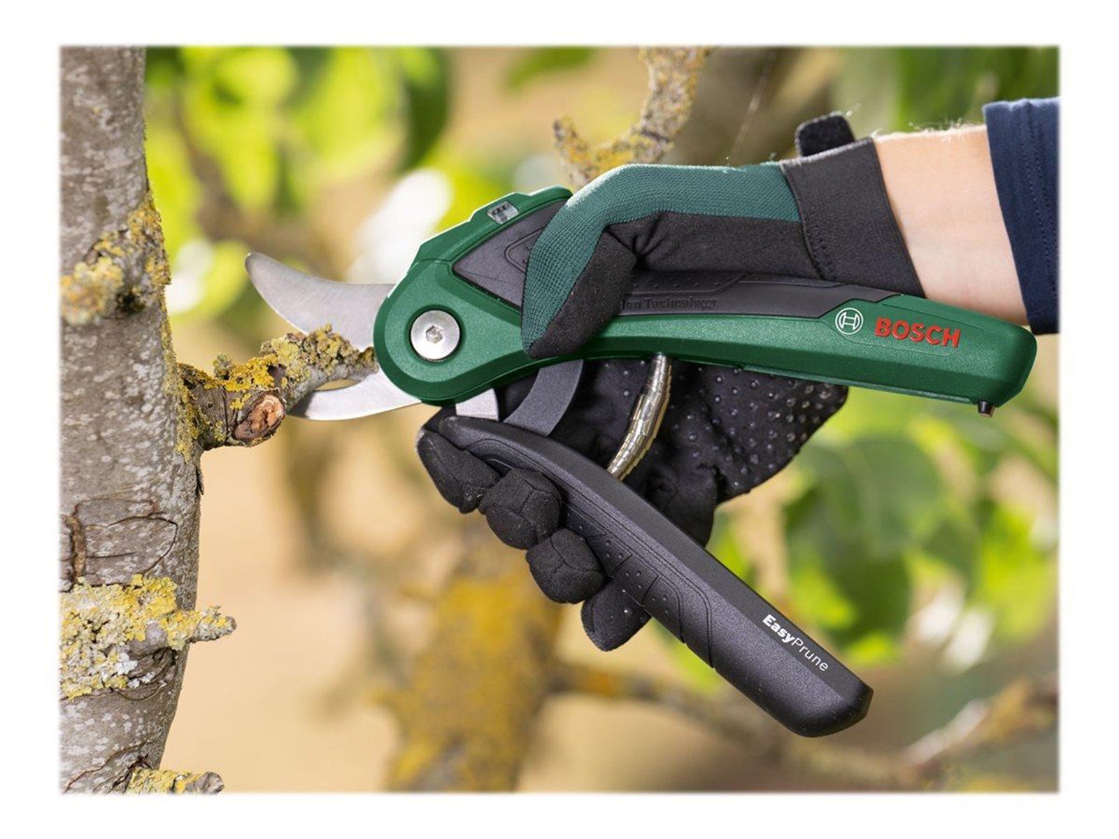Bosch EasyPrune CORDLESS GARDEN SHEARS