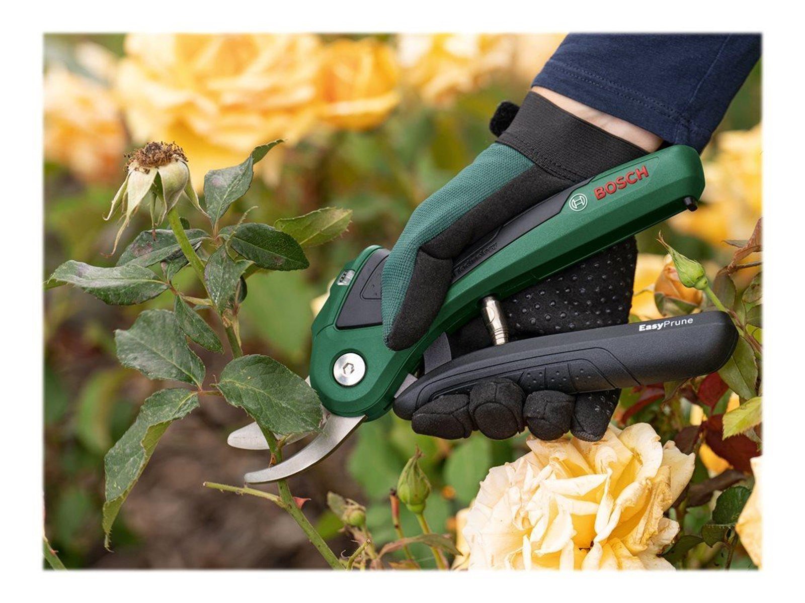 Bosch EasyPrune CORDLESS GARDEN SHEARS