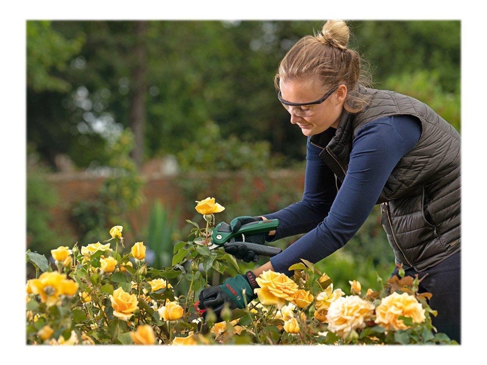 Bosch EasyPrune CORDLESS GARDEN SHEARS