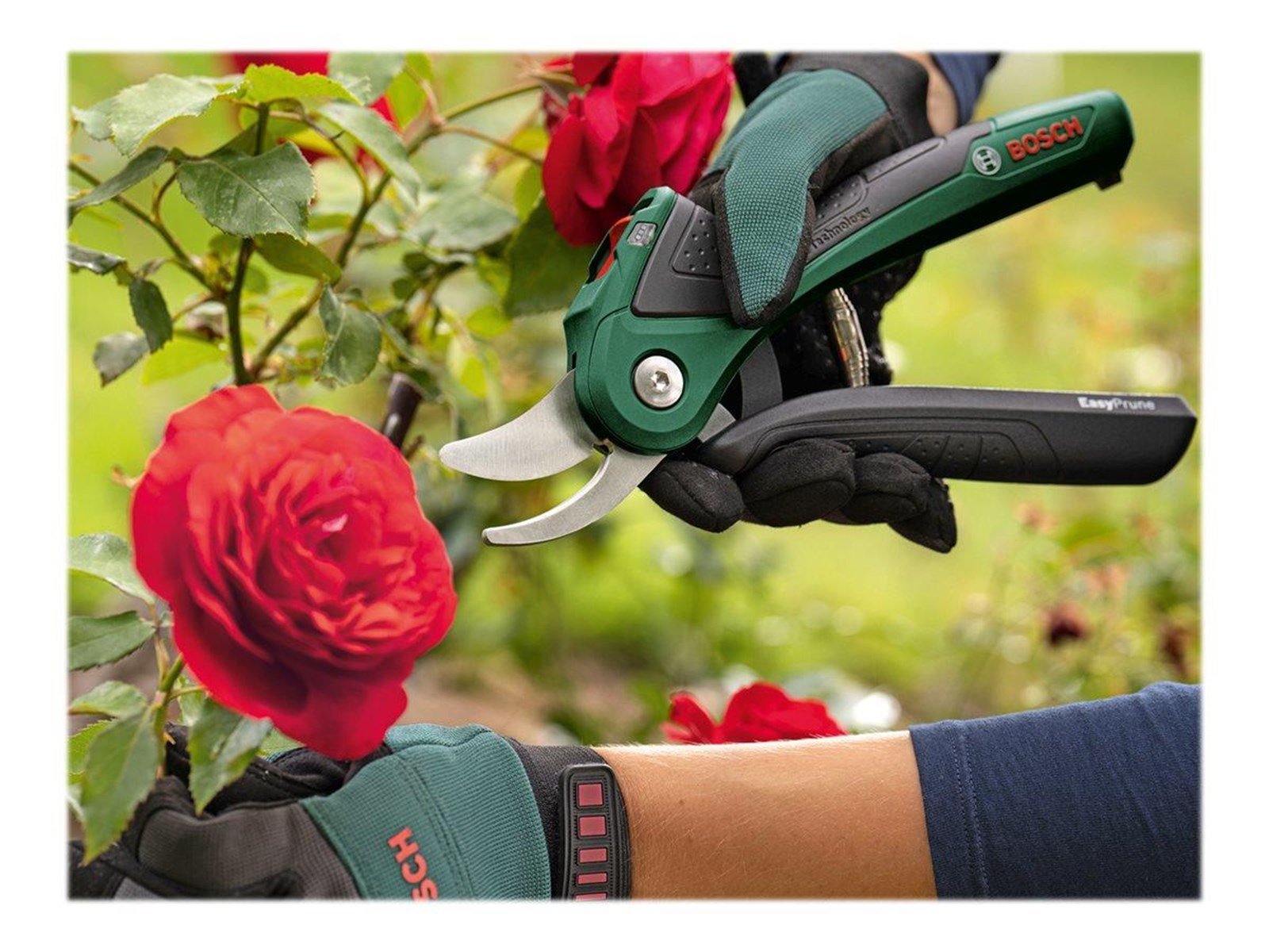 Bosch EasyPrune CORDLESS GARDEN SHEARS