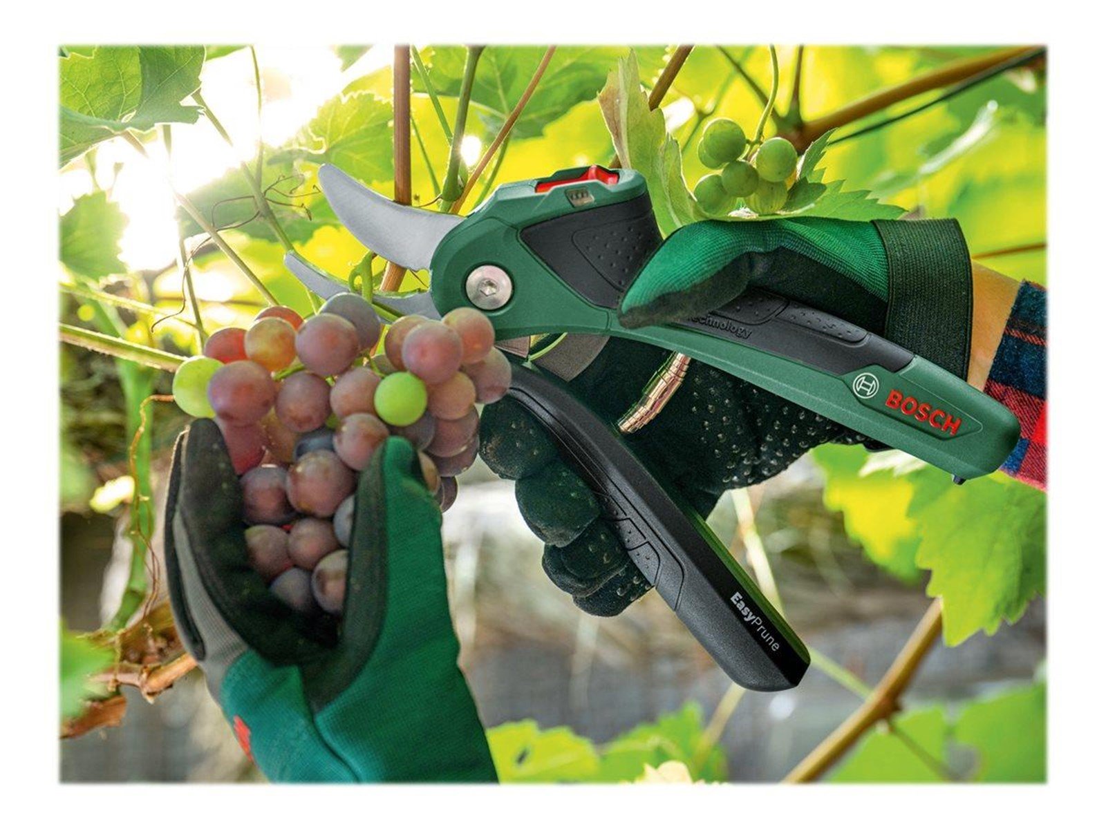 Bosch EasyPrune CORDLESS GARDEN SHEARS
