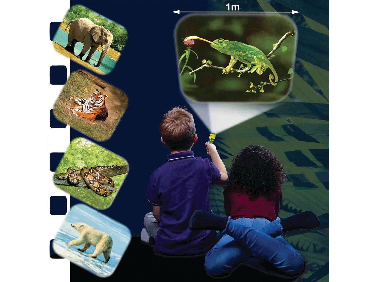 Brainstorm Animal Torch & Projector
