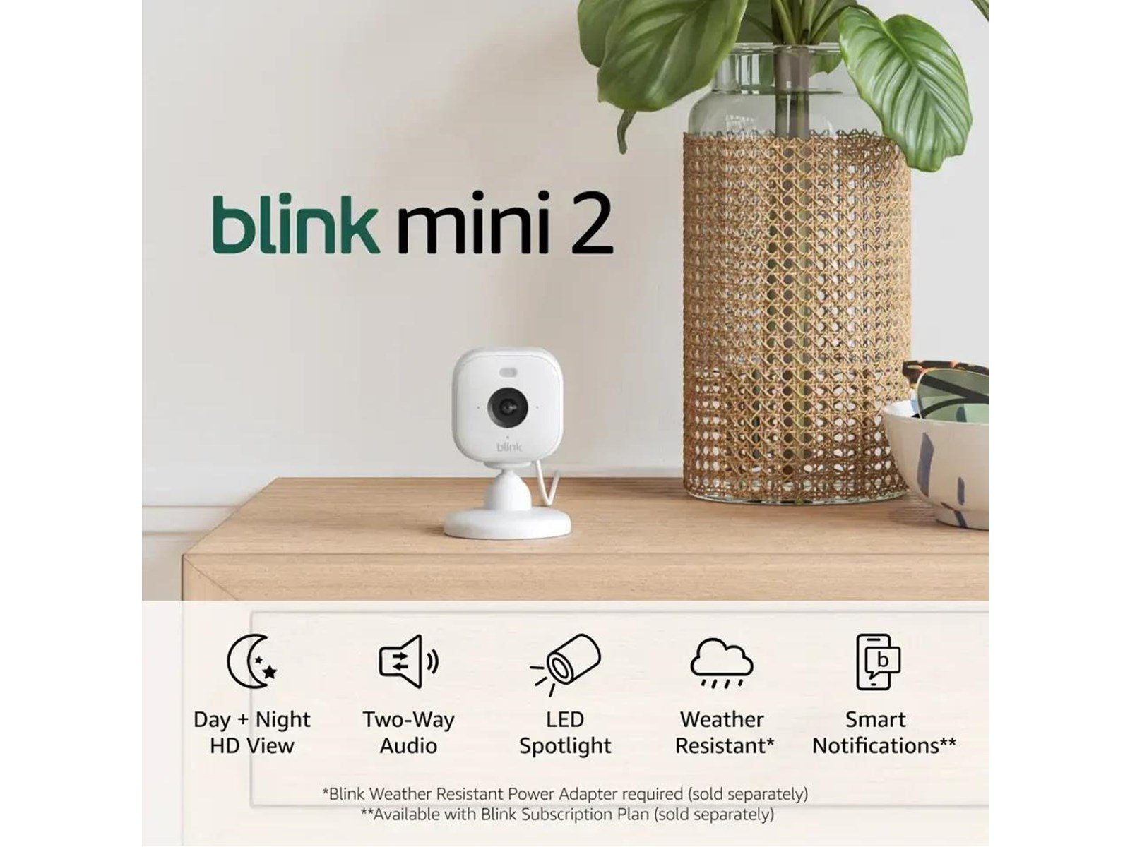 Blink Mini 2 (2-Pack) - White
