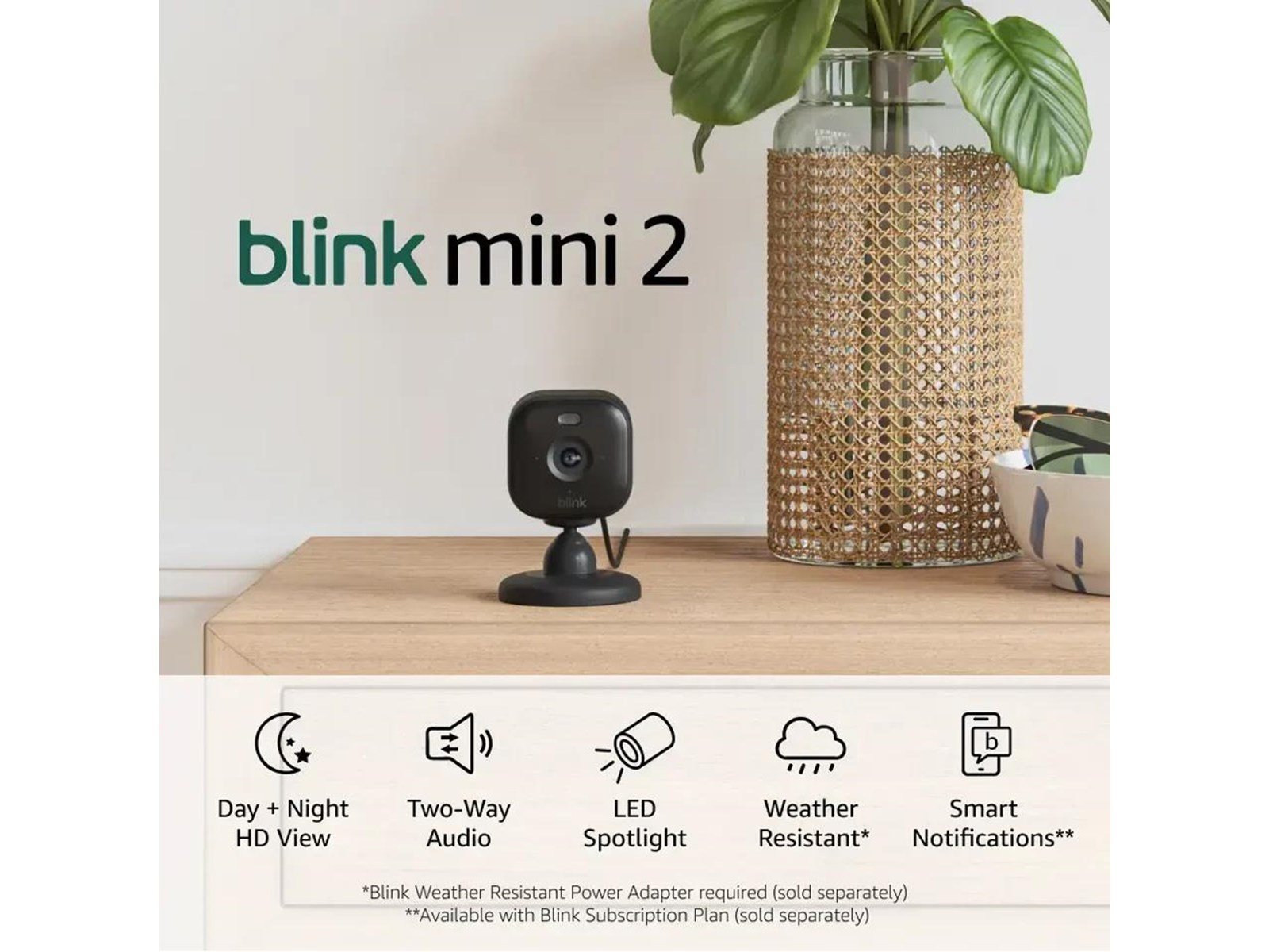 Blink Mini 2 (2-Pack) - Black