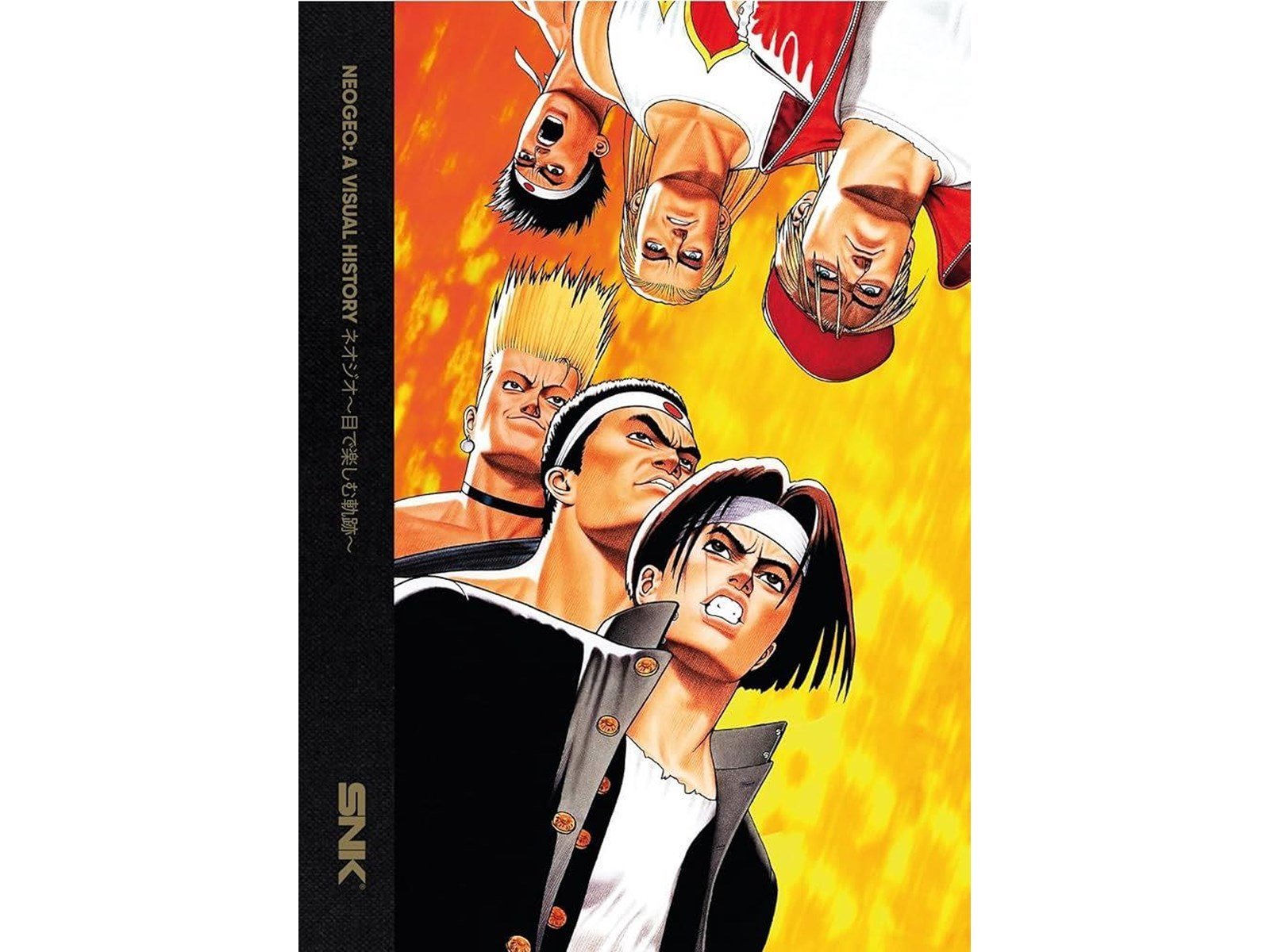 Bitmap Books Neogeo: A Visual History - Bücher