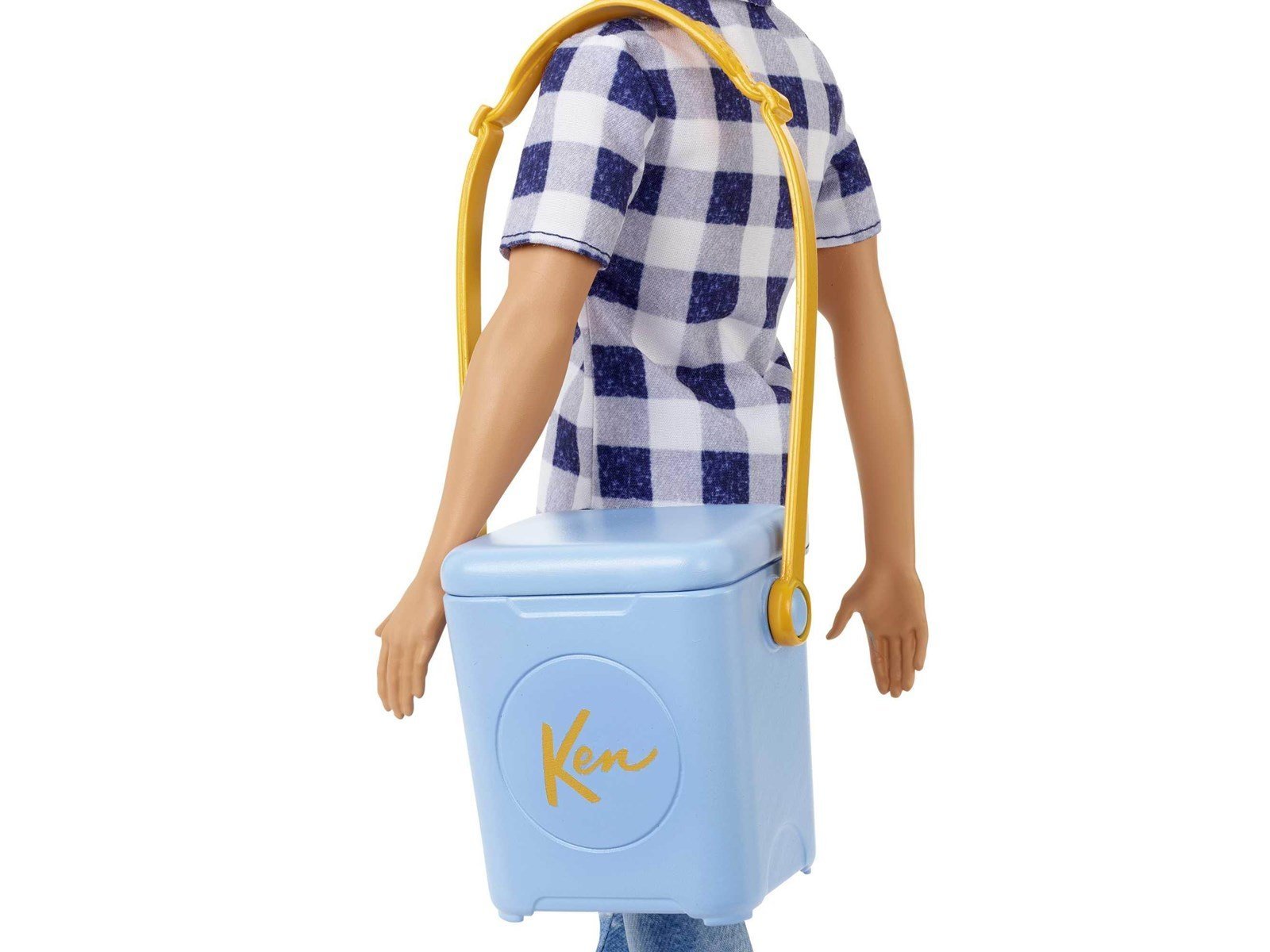 Barbie Dreamhouse Adventures Ken Camping