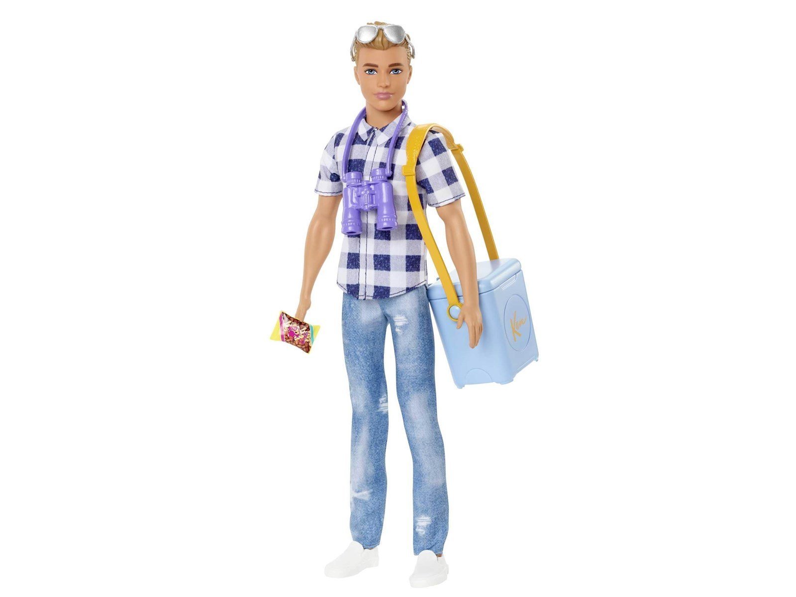 Barbie Dreamhouse Adventures Ken Camping