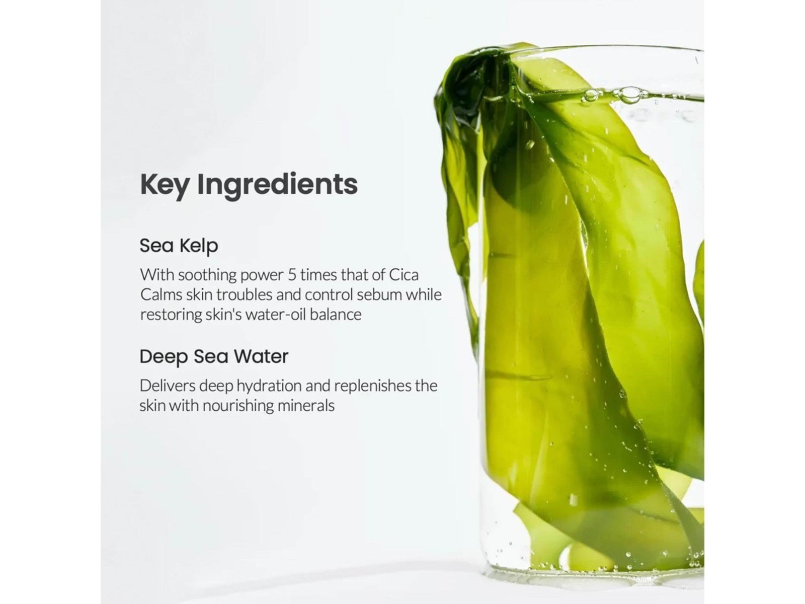 BIODANCE Refreshing Sea Kelp Real Deep Mask 1 pcs