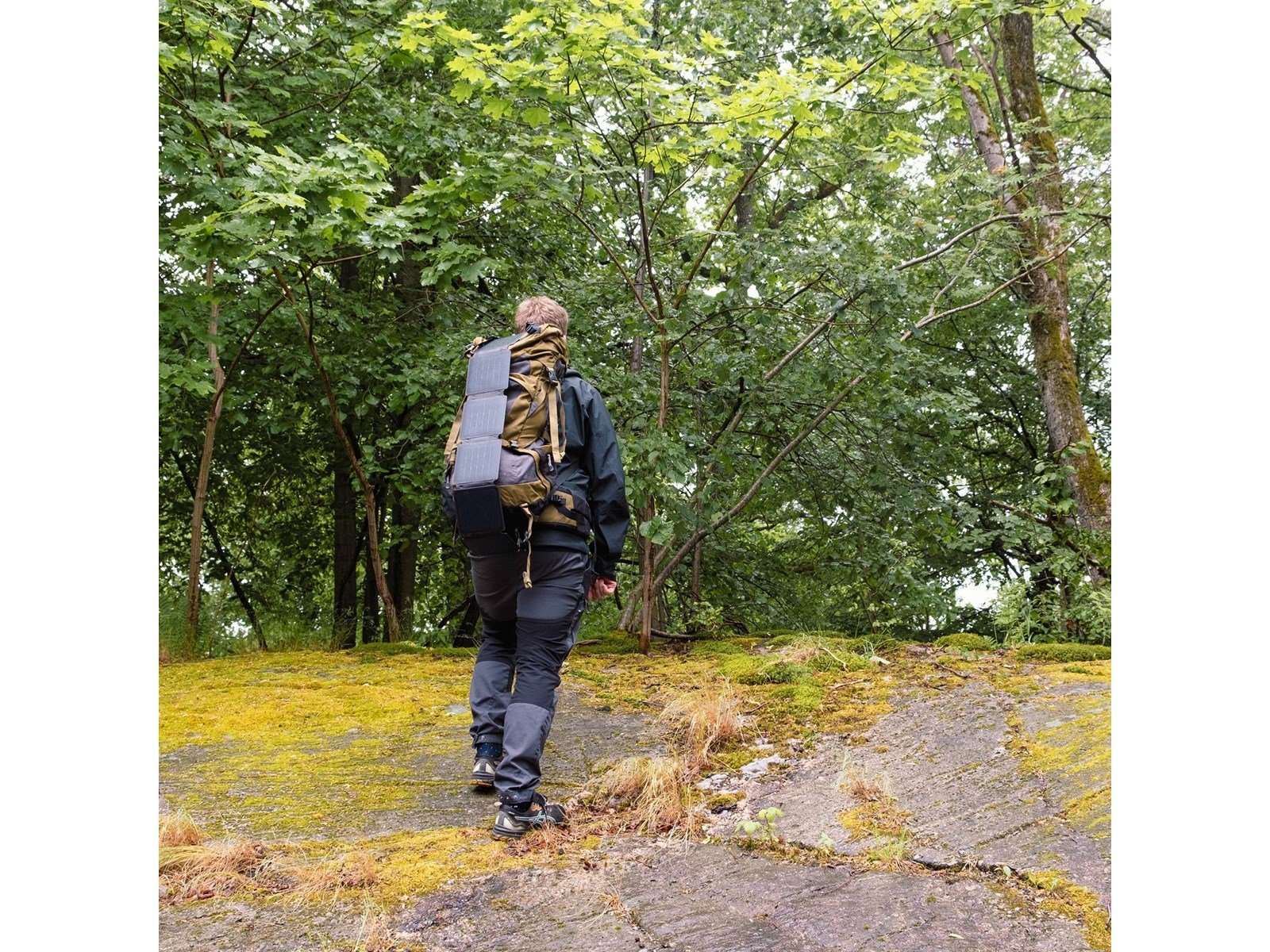 Aqiila Sunbird P21 21W