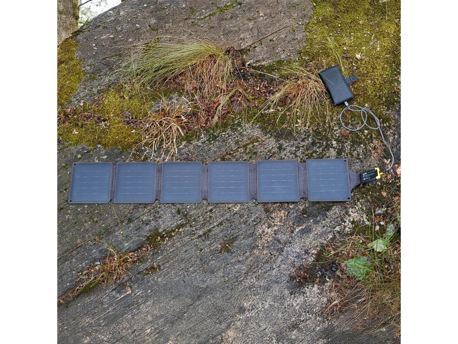 Aqiila Sunbird P21 21W