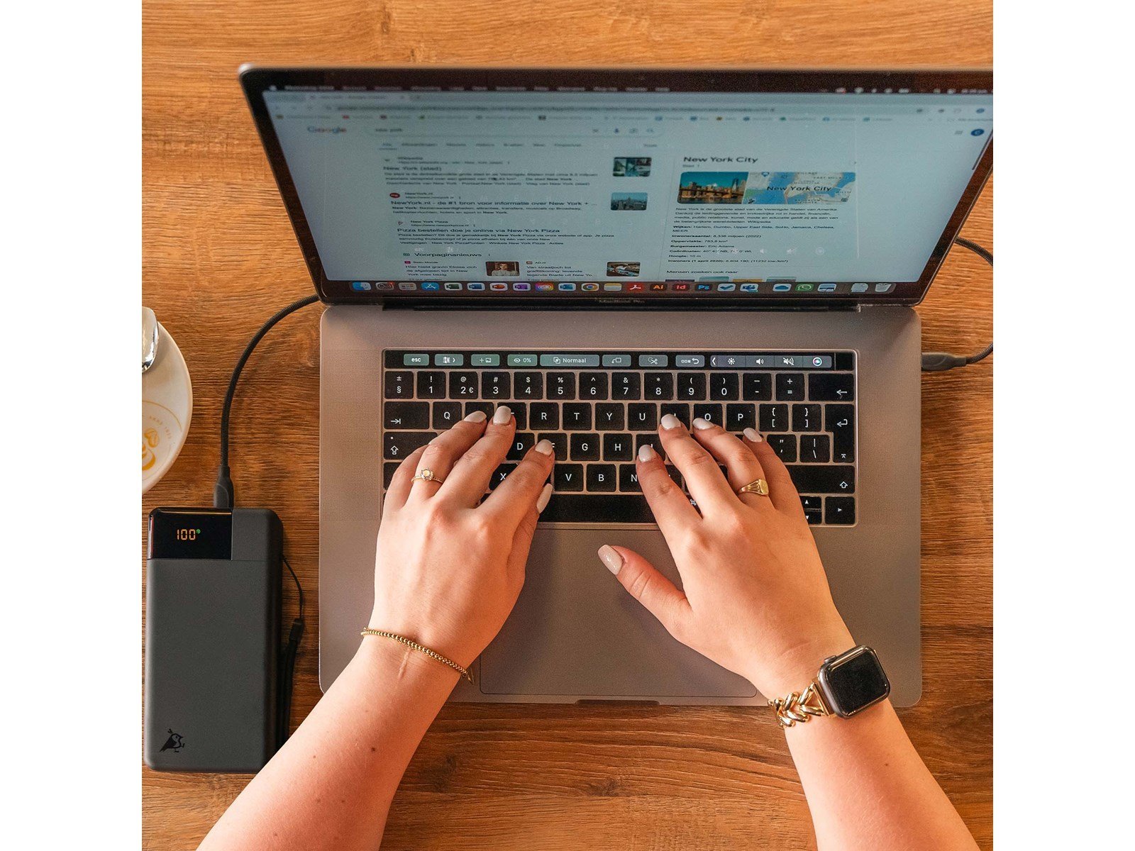 Aqiila Powerbird B20+ - 65W - Powerbank (Akku) - Moos - 20000 mAh