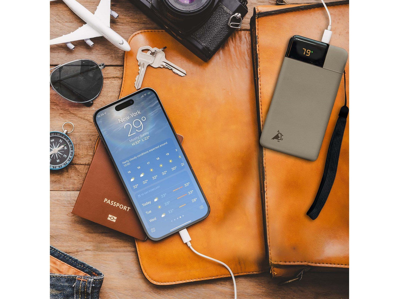 Aqiila Powerbird B10 - 20W - Powerbank (Akku) - Moos - 10000 mAh