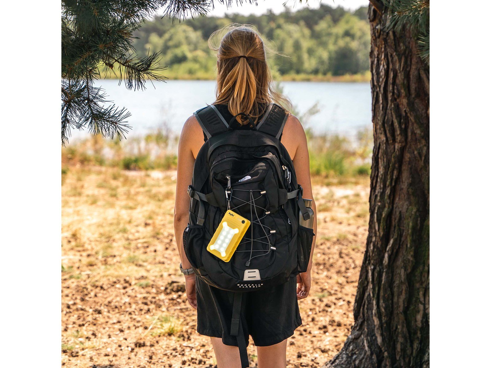 Aqiila Powerbird BS10 – Solar Powerbank (Akku) - Gelb - 10000 mAh