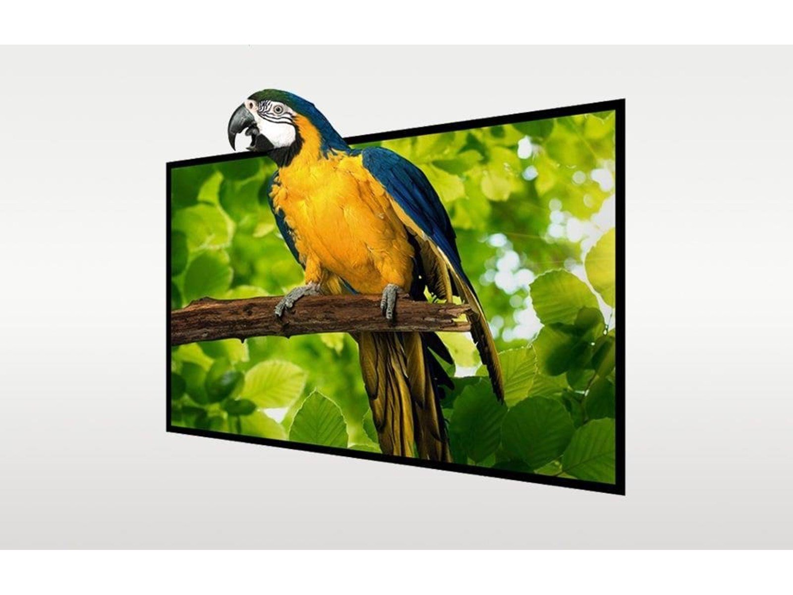 BlitzWolf Projektoren BW-VS4 120