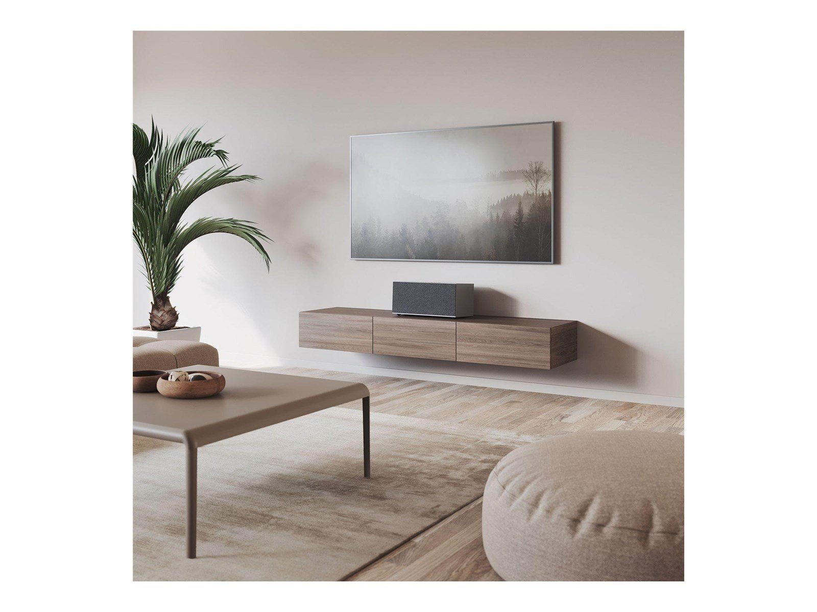 Audio Pro C20 - speaker - wireless