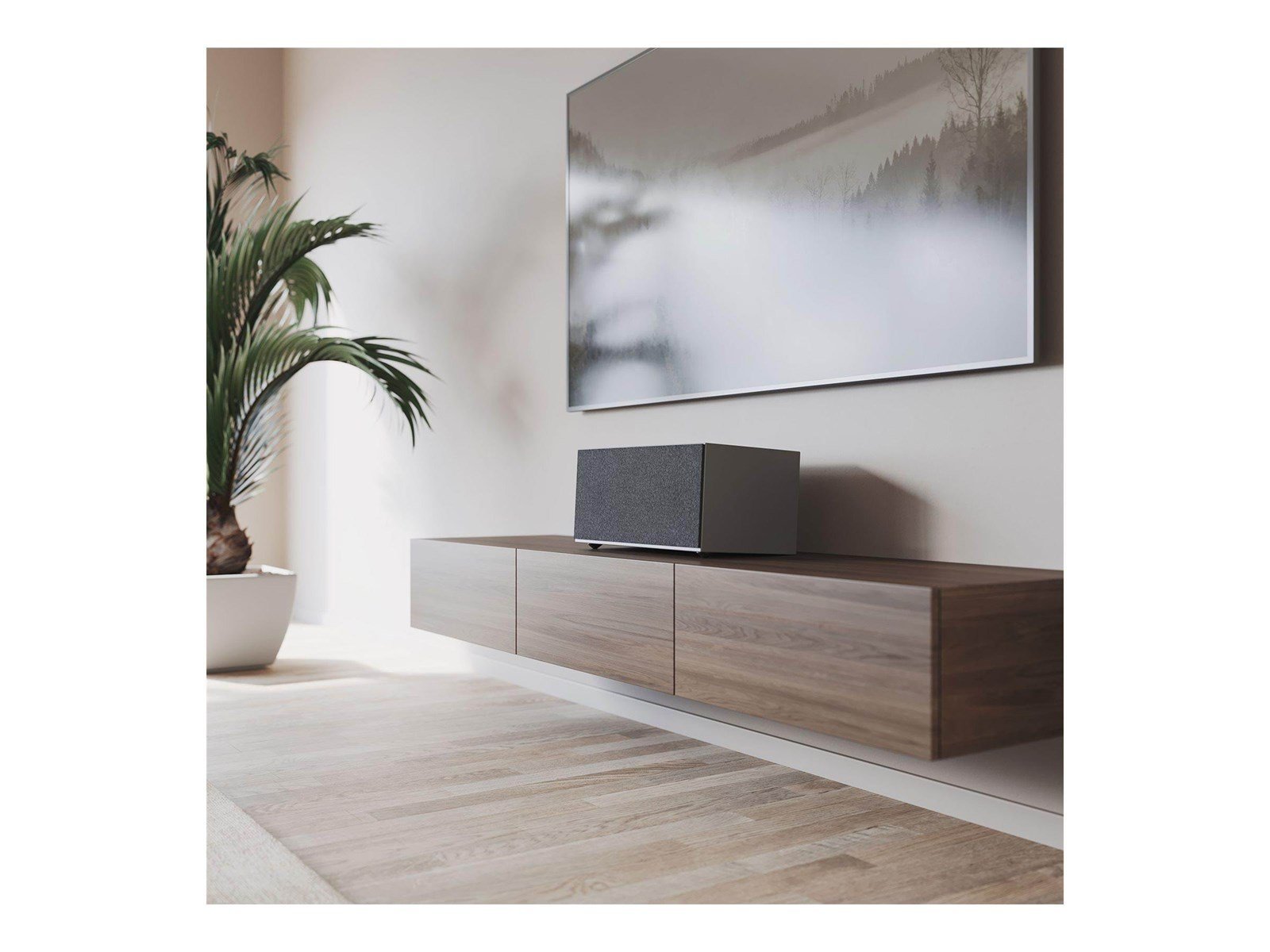 Audio Pro C20 - speaker - wireless