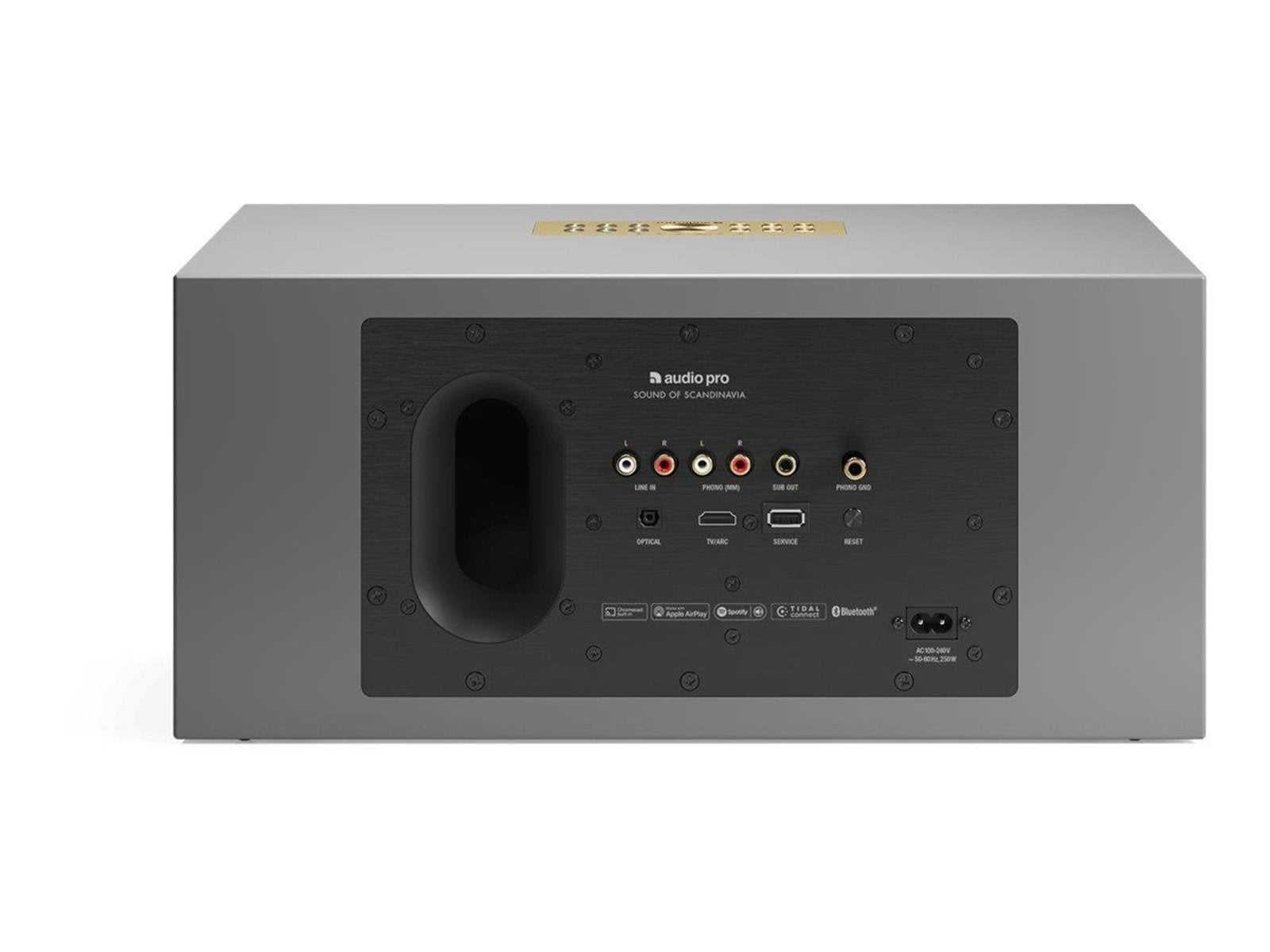 Audio Pro C20 - speaker - wireless