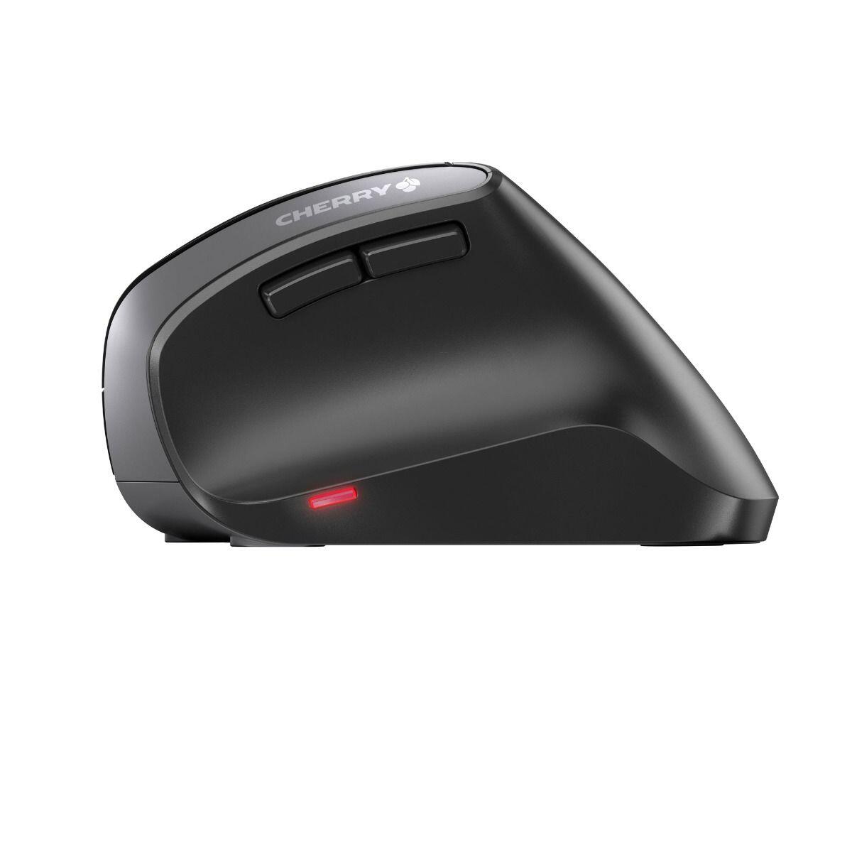 CHERRY MW 4500 ergonomische Maus