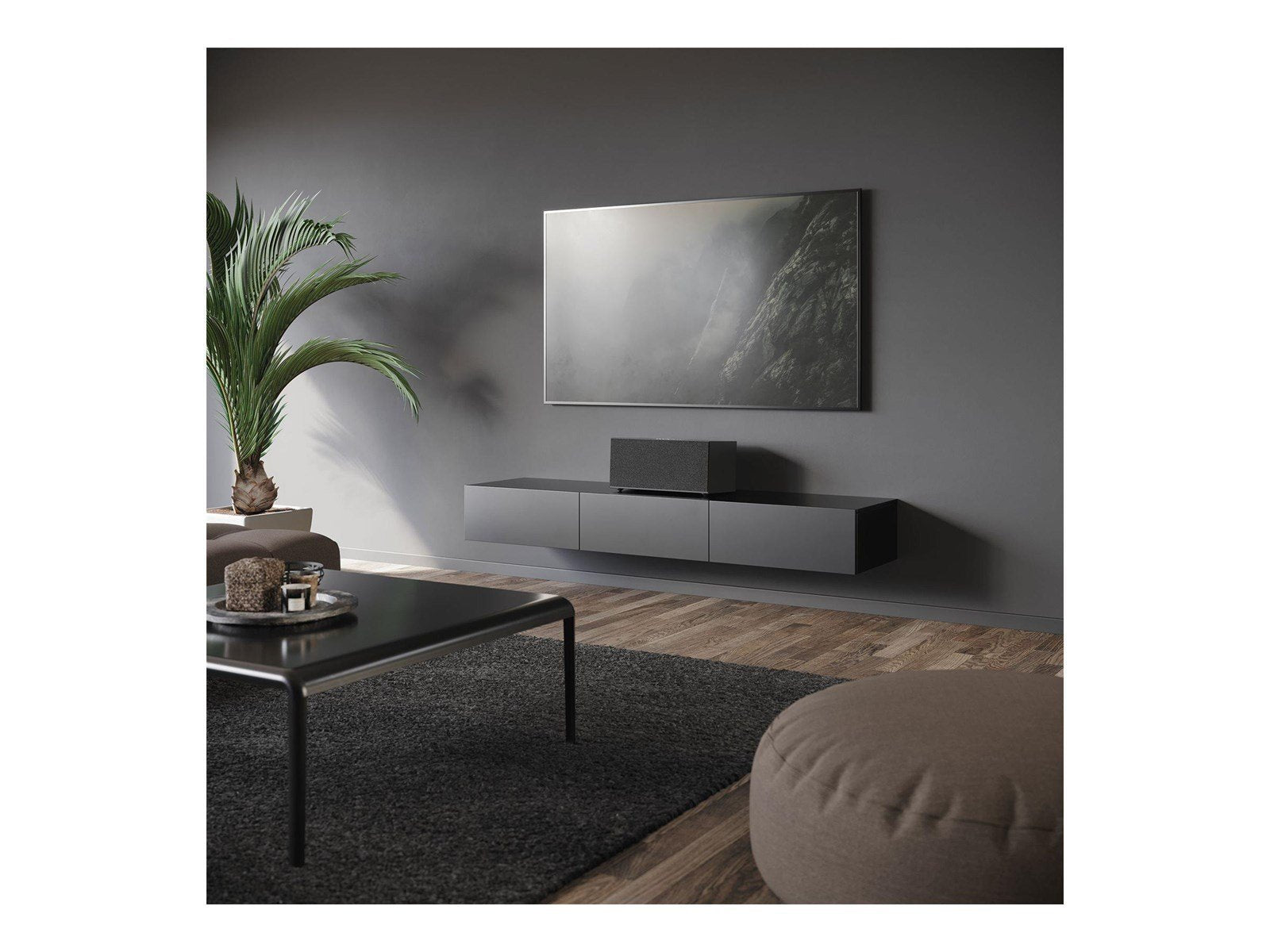 Audio Pro C20 - speaker - wireless