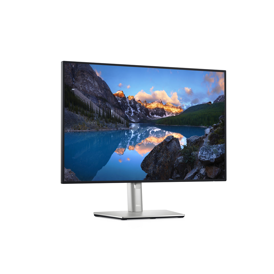 Dell 61.0cm (24")   U2421E   16:9 DP+HDMI+USB-C IPS Lift