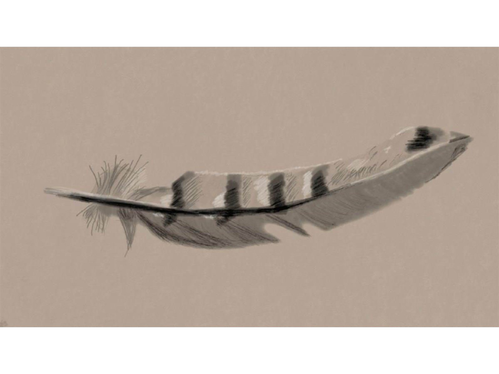 Art Academy Atelier - Nintendo Wii U - Unterhaltung - PEGI 3