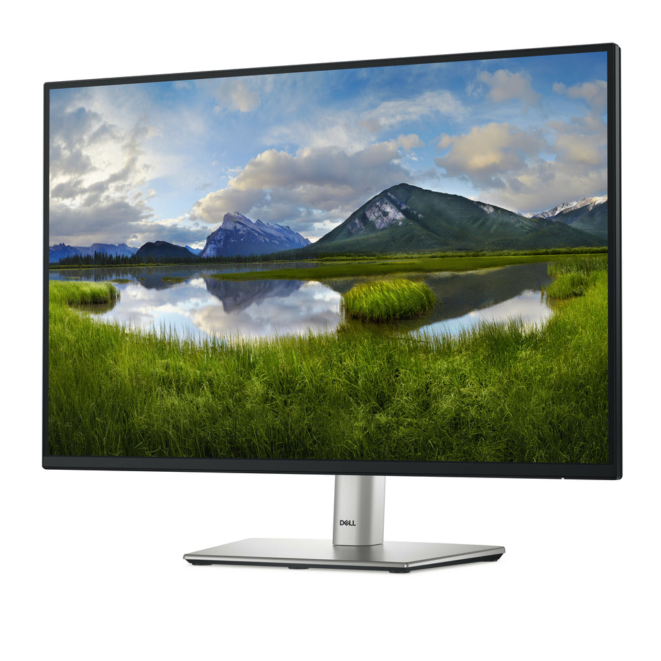 Dell 61.0cm (24")   P2425 16:10 HDMI+DP+USB-C+VGA IPS Lift retai